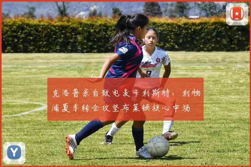 克洛普亲自致电麦卡利斯特，利物浦夏季转会攻坚布莱顿核心中场