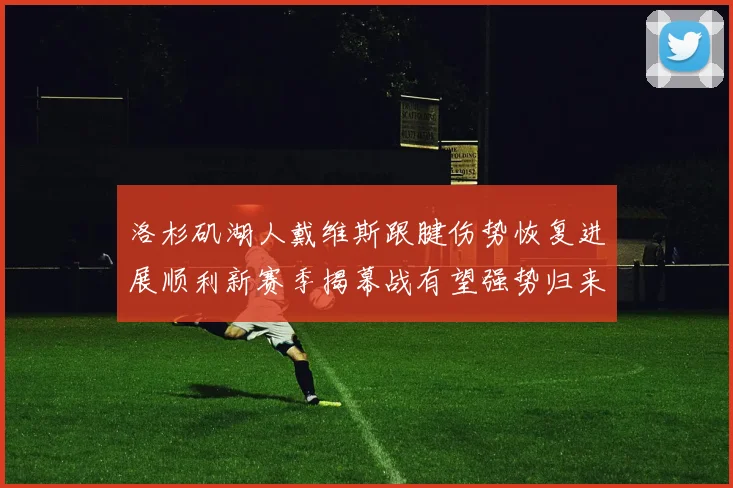 洛杉矶湖人戴维斯跟腱伤势恢复进展顺利新赛季揭幕战有望强势归来